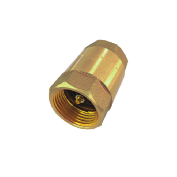 Brass Check Valve